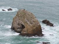 Albums/20060200-New Zealand 2006/20060313-Catlins/75